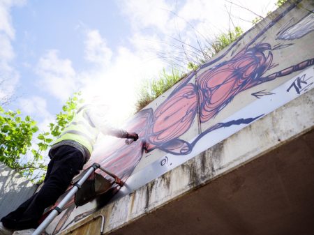 © Stefaan Van Damme